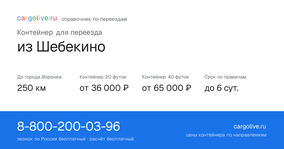 Контейнер для переезда из Шебекино в Воронеж: 250 км, 20 футов от 36 000 ₽